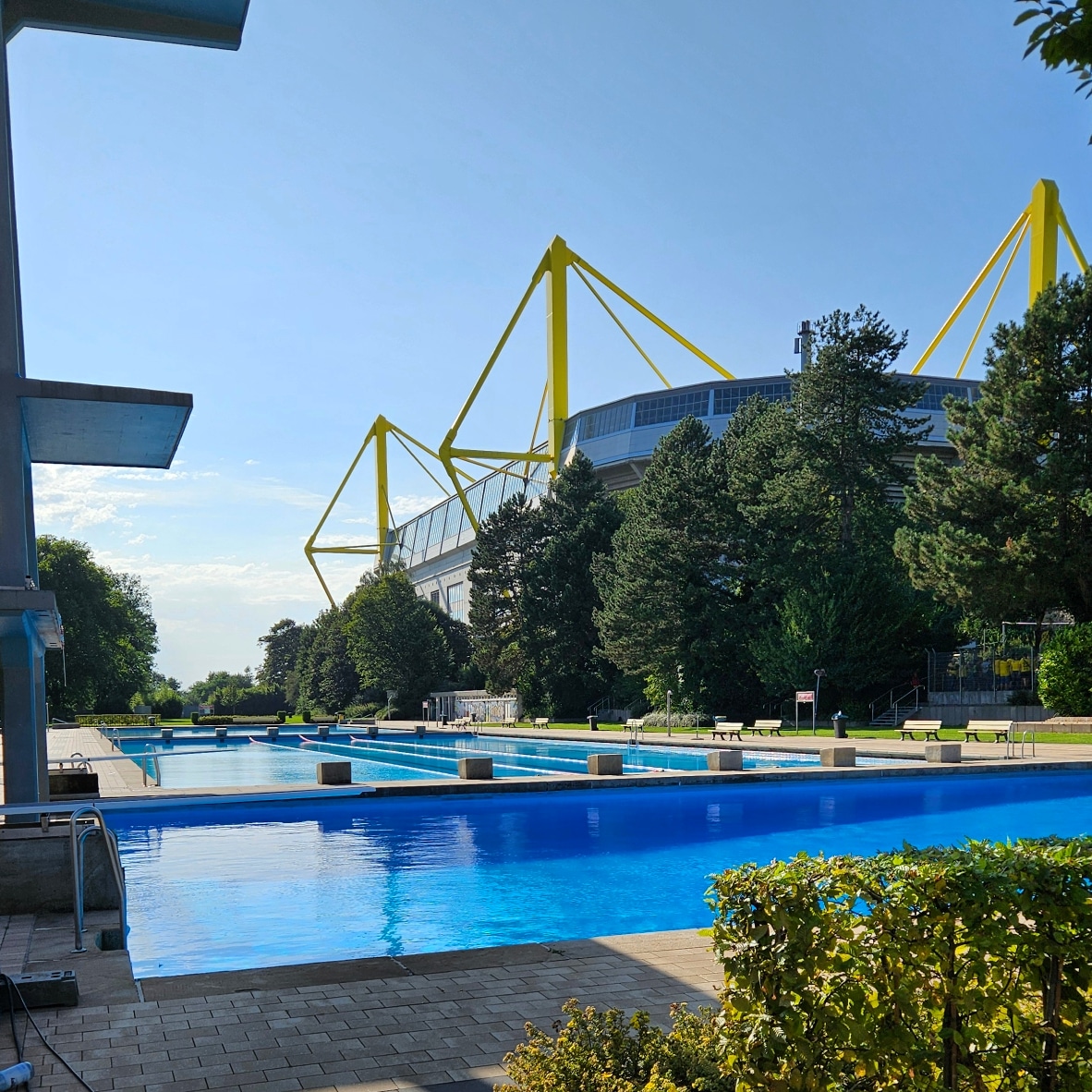 BVB - Frankfurt (2024/25)