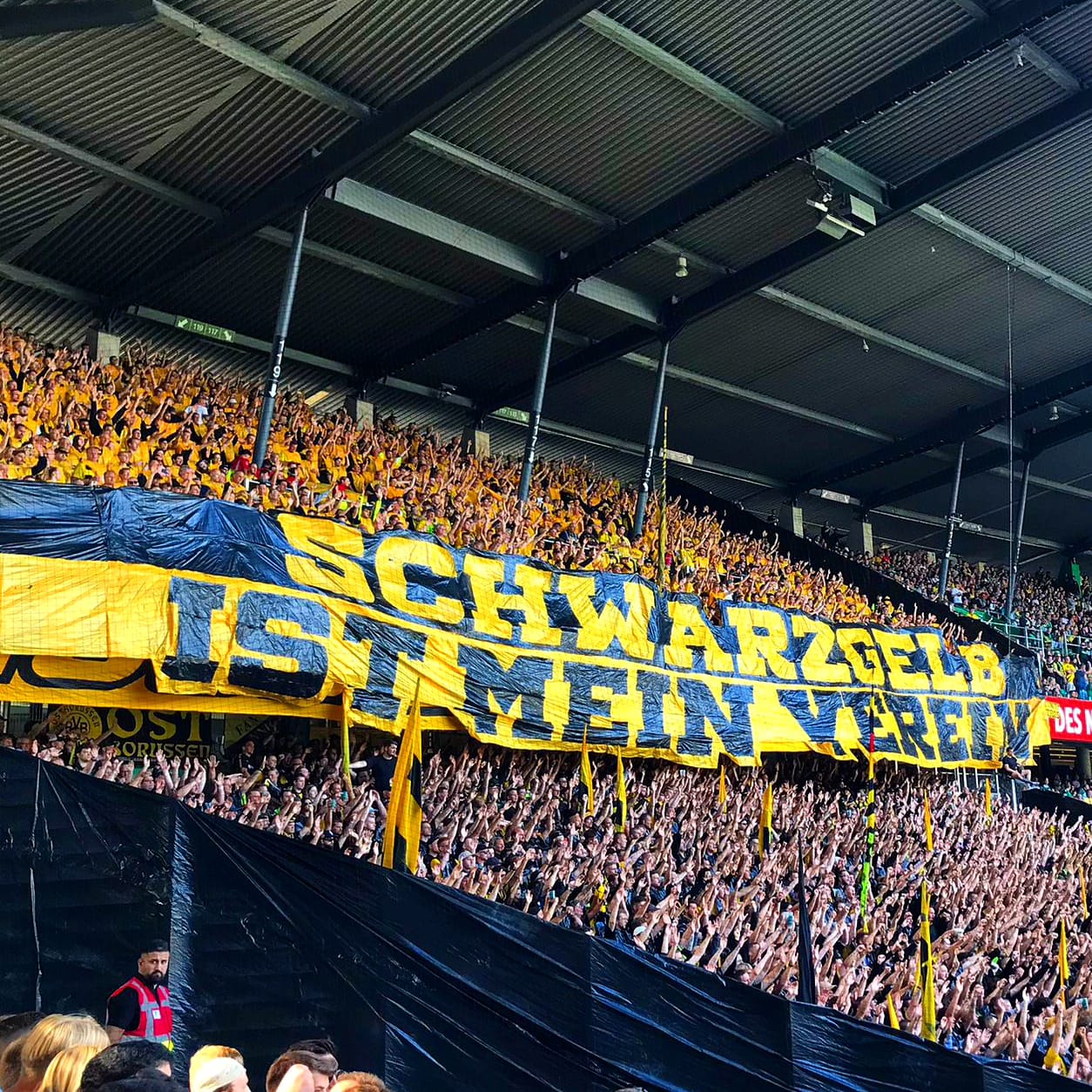 Bremen - BVB (2024/25)